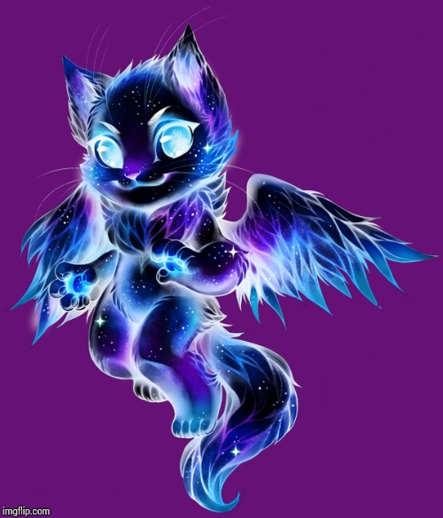 Galaxy Dragon Cat | image tagged in galaxy dragon cat | made w/ Imgflip meme maker