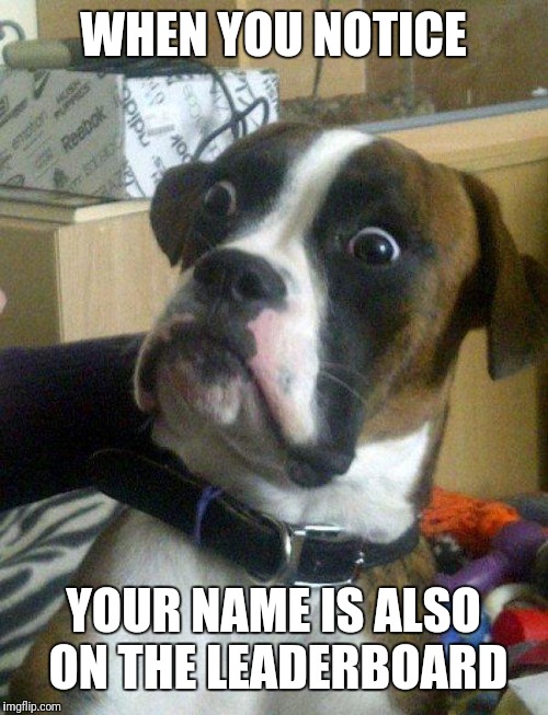 Blankie the Shocked Dog | WHEN YOU NOTICE YOUR NAME IS ALSO ON THE LEADERBOARD | image tagged in blankie the shocked dog | made w/ Imgflip meme maker