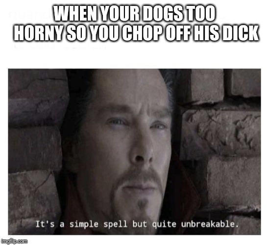 It’s a simple spell but quite unbreakable | WHEN YOUR DOGS TOO HORNY SO YOU CHOP OFF HIS DICK | image tagged in its a simple spell but quite unbreakable | made w/ Imgflip meme maker