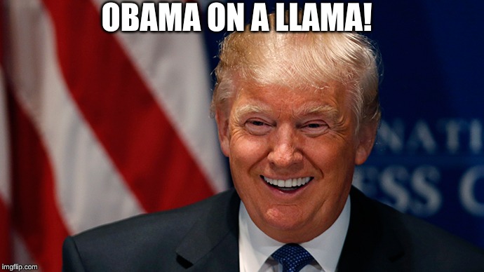 Donald Trump Laughing | OBAMA ON A LLAMA! | image tagged in donald trump laughing | made w/ Imgflip meme maker