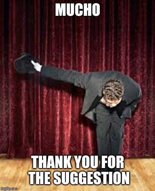 Take a bow. | MUCHO THANK YOU FOR THE SUGGESTION | image tagged in take a bow | made w/ Imgflip meme maker