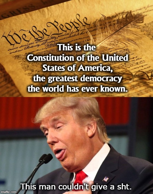 This is the Constitution of the United States of America, the greatest democracy the world has ever known. This man couldn't give a sht. | image tagged in trump,constitution,rule of law,checks and balances,separation of powers,democracy | made w/ Imgflip meme maker