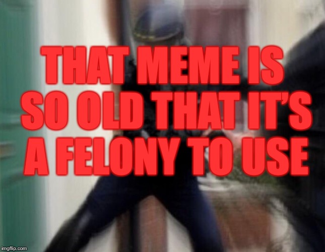 FBI Door Breach | THAT MEME IS SO OLD THAT IT’S A FELONY TO USE | image tagged in fbi door breach | made w/ Imgflip meme maker