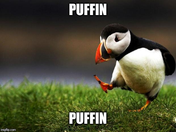 Unpopular Opinion Puffin | PUFFIN PUFFIN | image tagged in unpopular opinion puffin | made w/ Imgflip meme maker
