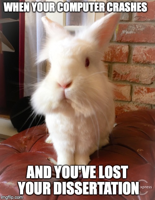 The Horror! | WHEN YOUR COMPUTER CRASHES; AND YOU'VE LOST YOUR DISSERTATION | image tagged in bunnies,rabbits,horror,graduate school | made w/ Imgflip meme maker