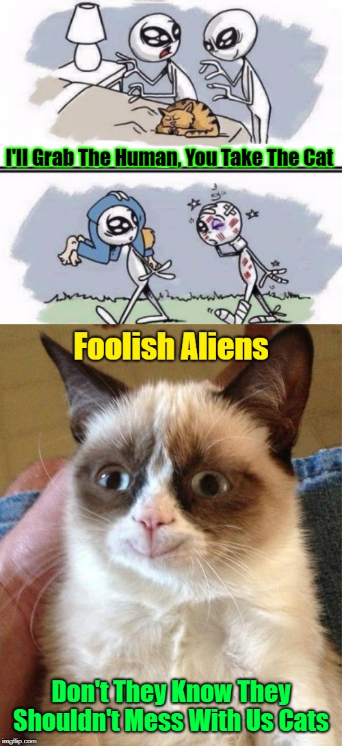 Foolish Aliens...When Will They Learn? Repost Your Own Memes Week, April 16 until... A socrates and Craziness_all_the_way event! | I'll Grab The Human, You Take The Cat; Foolish Aliens; Don't They Know They Shouldn't Mess With Us Cats | image tagged in memes,grumpy cat happy,cats,aliens,repost your own memes week,aliens trying to abduct cats | made w/ Imgflip meme maker