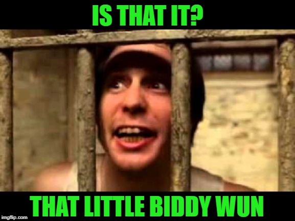 IS THAT IT? THAT LITTLE BIDDY WUN | made w/ Imgflip meme maker