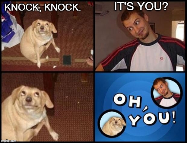 Oh You | IT'S YOU? KNOCK, KNOCK. | image tagged in oh you | made w/ Imgflip meme maker