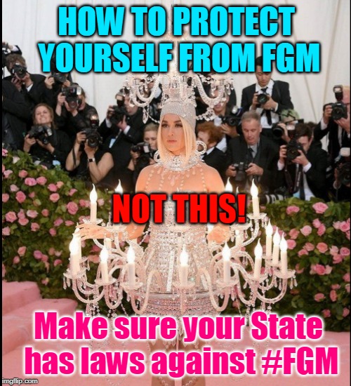 HOW TO PROTECT YOURSELF FROM FGM; NOT THIS! Make sure your State has laws against #FGM | made w/ Imgflip meme maker