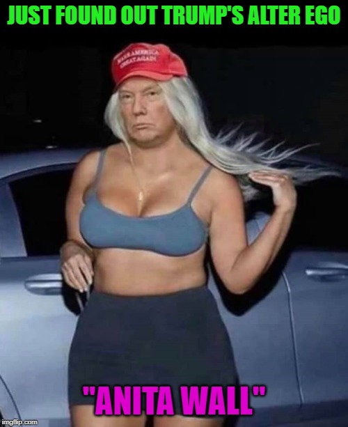 She'll get the money one way or another!!! | JUST FOUND OUT TRUMP'S ALTER EGO; "ANITA WALL" | image tagged in donald trump,memes,anita wall,funny,make that money,build that wall | made w/ Imgflip meme maker