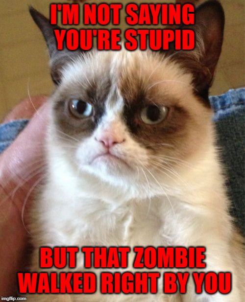 Stupidity's one saving grace... | I'M NOT SAYING YOU'RE STUPID; BUT THAT ZOMBIE WALKED RIGHT BY YOU | image tagged in memes,grumpy cat,zombies,funny,stupid,no brains | made w/ Imgflip meme maker