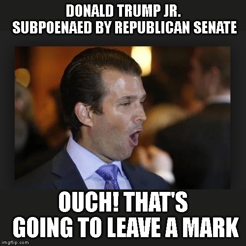 Junior Thought He Was Safe...  NOT! | DONALD TRUMP JR. SUBPOENAED BY REPUBLICAN SENATE; OUCH! THAT'S GOING TO LEAVE A MARK | image tagged in government corruption,campaign finance law,traitor,trump russia collusion,perjury | made w/ Imgflip meme maker