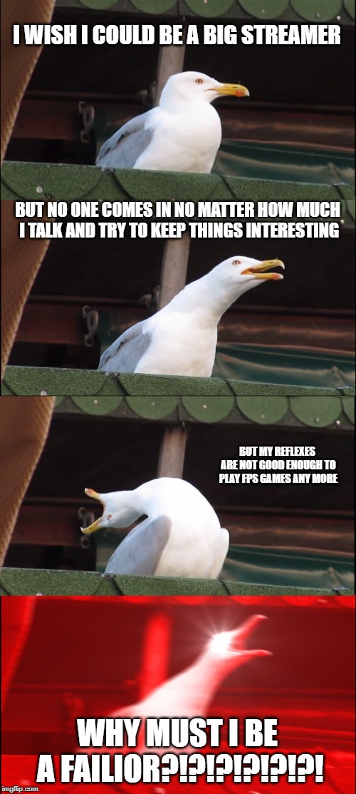 Inhaling Seagull | I WISH I COULD BE A BIG STREAMER; BUT NO ONE COMES IN NO MATTER HOW MUCH I TALK AND TRY TO KEEP THINGS INTERESTING; BUT MY REFLEXES ARE NOT GOOD ENOUGH TO PLAY FPS GAMES ANY MORE; WHY MUST I BE A FAILIOR?!?!?!?!?!?! | image tagged in memes,inhaling seagull | made w/ Imgflip meme maker
