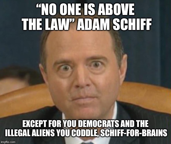 Crazy Adam Schiff | “NO ONE IS ABOVE THE LAW” ADAM SCHIFF; EXCEPT FOR YOU DEMOCRATS AND THE ILLEGAL ALIENS YOU CODDLE, SCHIFF-FOR-BRAINS | image tagged in crazy adam schiff,adam schiff,democrats,illegal immigration | made w/ Imgflip meme maker