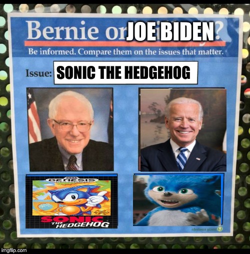 Bernie or Hillary? | JOE BIDEN; SONIC THE HEDGEHOG | image tagged in bernie or hillary | made w/ Imgflip meme maker