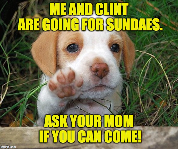 dog puppy bye | ME AND CLINT ARE GOING FOR SUNDAES. ASK YOUR MOM IF YOU CAN COME! | image tagged in dog puppy bye | made w/ Imgflip meme maker