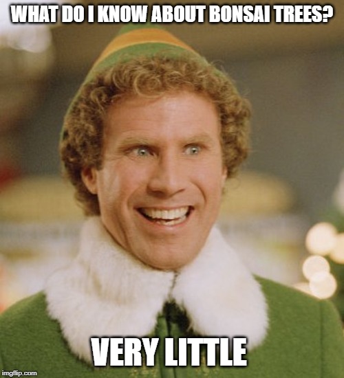 Buddy The Elf | WHAT DO I KNOW ABOUT BONSAI TREES? VERY LITTLE | image tagged in memes,buddy the elf | made w/ Imgflip meme maker