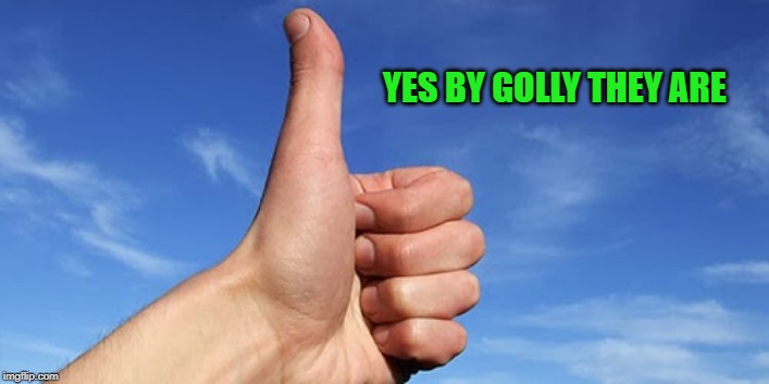 thumbs up | YES BY GOLLY THEY ARE | image tagged in thumbs up | made w/ Imgflip meme maker