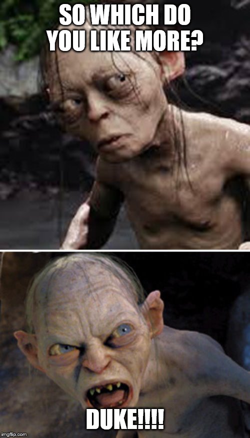 Gollum Nice Nasty | SO WHICH DO YOU LIKE MORE? DUKE!!!! | image tagged in gollum nice nasty | made w/ Imgflip meme maker