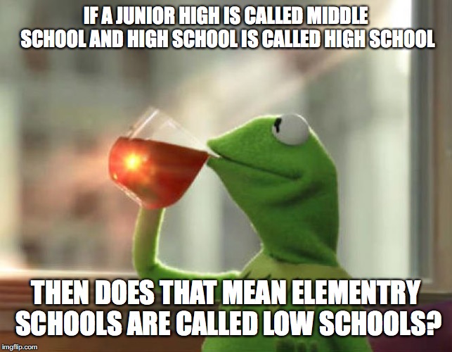 But That's None Of My Business (Neutral) | IF A JUNIOR HIGH IS CALLED MIDDLE SCHOOL AND HIGH SCHOOL IS CALLED HIGH SCHOOL; THEN DOES THAT MEAN ELEMENTRY SCHOOLS ARE CALLED LOW SCHOOLS? | image tagged in memes,but thats none of my business neutral | made w/ Imgflip meme maker