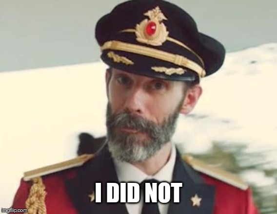 Captain Obvious | I DID NOT | image tagged in captain obvious | made w/ Imgflip meme maker