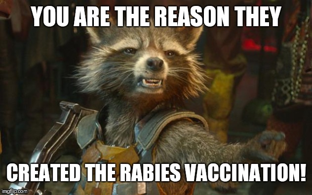 Rocket Raccoon | YOU ARE THE REASON THEY; CREATED THE RABIES VACCINATION! | image tagged in rocket raccoon | made w/ Imgflip meme maker