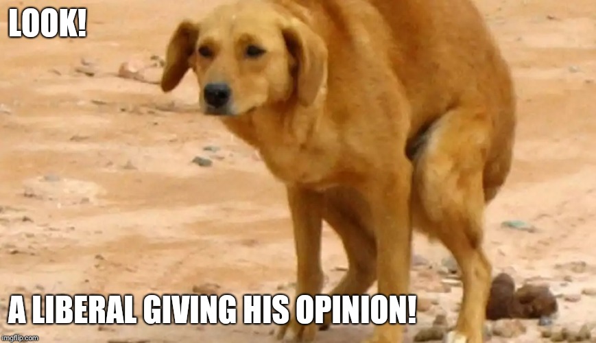 Old Yeller | LOOK! A LIBERAL GIVING HIS OPINION! | image tagged in old yeller | made w/ Imgflip meme maker
