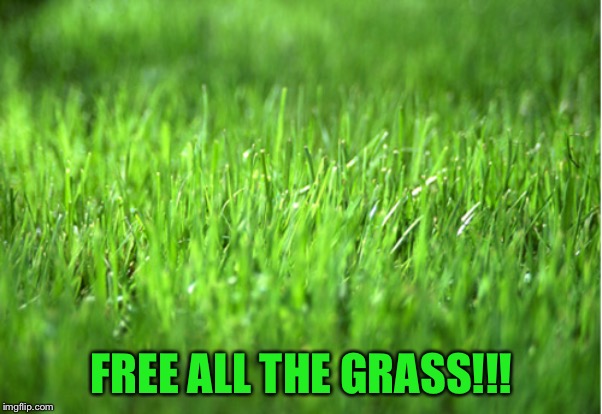 grass is greener | FREE ALL THE GRASS!!! | image tagged in grass is greener | made w/ Imgflip meme maker