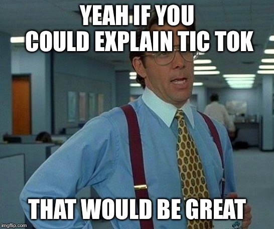 That Would Be Great Meme | YEAH IF YOU COULD EXPLAIN TIC TOK; THAT WOULD BE GREAT | image tagged in memes,that would be great | made w/ Imgflip meme maker