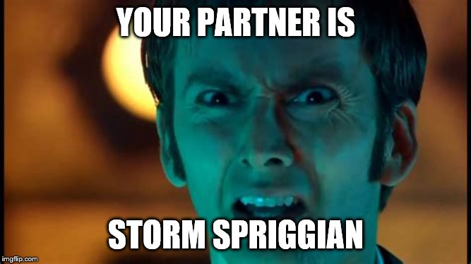 YOUR PARTNER IS; STORM SPRIGGIAN | made w/ Imgflip meme maker