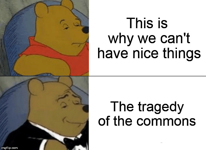 Tuxedo Winnie The Pooh Meme | This is why we can't have nice things; The tragedy of the commons | image tagged in memes,tuxedo winnie the pooh | made w/ Imgflip meme maker