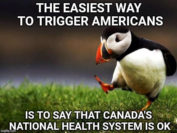 I'm not saying it's perfect but it works ok for many people. | THE EASIEST WAY TO TRIGGER AMERICANS; IS TO SAY THAT CANADA'S NATIONAL HEALTH SYSTEM IS OK | image tagged in memes,unpopular opinion puffin,canada,healthcare | made w/ Imgflip meme maker