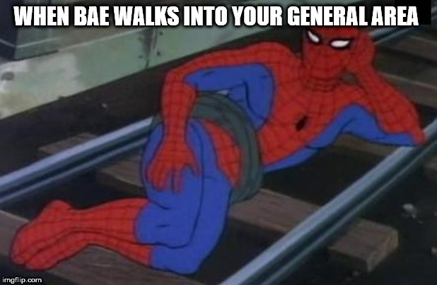 Sexy Railroad Spiderman Meme | WHEN BAE WALKS INTO YOUR GENERAL AREA | image tagged in memes,sexy railroad spiderman,spiderman | made w/ Imgflip meme maker