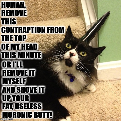 UP YOUR BUTT | HUMAN, REMOVE THIS CONTRAPTION FROM THE TOP OF MY HEAD THIS MINUTE; OR I'LL REMOVE IT MYSELF AND SHOVE IT UP YOUR FAT, USELESS MORONIC BUTT! | image tagged in up your butt | made w/ Imgflip meme maker