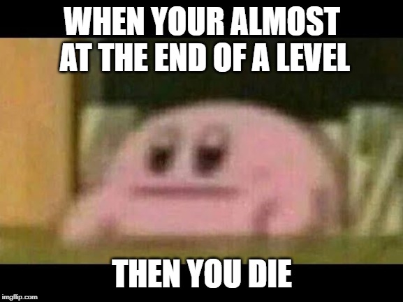 Kirby derp-face  | WHEN YOUR ALMOST AT THE END OF A LEVEL; THEN YOU DIE | image tagged in kirby derp-face | made w/ Imgflip meme maker