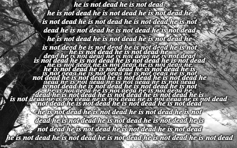 he is not dead he is not dead he is not dead he is not dead he is not dead he is not dead he is not dead he is not dead he is not dead he is not dead he is not dead he is not dead he is not dead he is not dead he is not dead he is not dead he is not dead he is not dead he is not dead he is not dead he is not dead he is not dead he is not dead he is not dead he is not dead he is not dead he is not dead he is not dead he is not dead he is not dead he is not dead he is not dead he is not dead he is not dead he is not dead he is not dead he is not dead he is not dead he is not dead he is not dead; he is not dead he is not dead he is not dead he is not dead he is not dead he is not dead he is not dead he is not dead he is not dead he is not dead he is not dead he is not dead he is not dead he is not dead he is not dead he is not dead he is not dead he is not dead he is not dead he is not dead he is not dead he is not dead he is not dead he is not dead he is not dead he is not dead he is not dead he is not dead he is not dead he is not dead he is not dead he is not dead he is not dead he is not dead he is not dead he is not dead he is not dead he is not dead he is not dead he is not dead | made w/ Imgflip meme maker