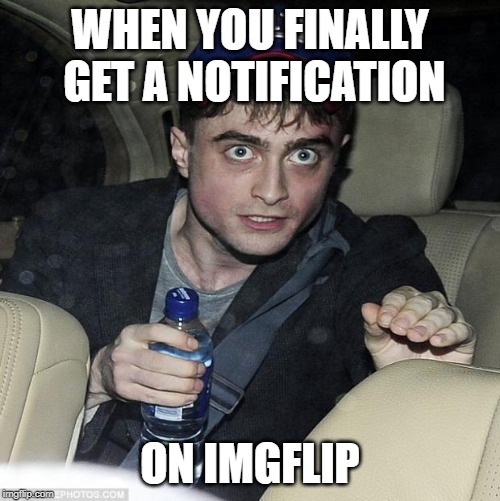 harry potter crazy | WHEN YOU FINALLY GET A NOTIFICATION; ON IMGFLIP | image tagged in harry potter crazy | made w/ Imgflip meme maker