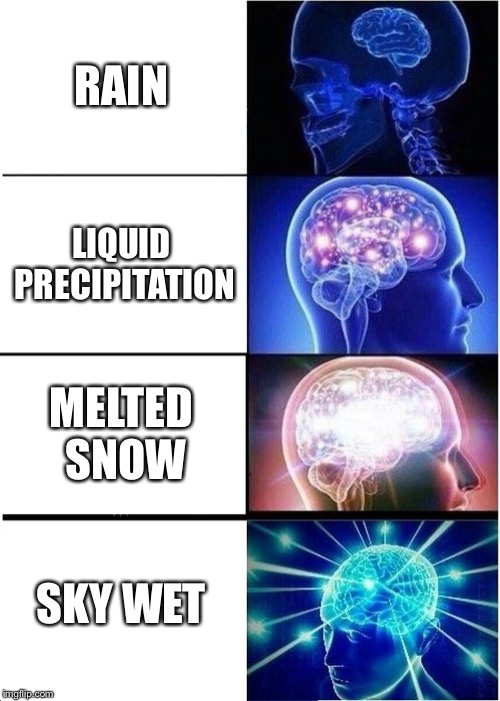 Expanding Brain Meme | RAIN; LIQUID PRECIPITATION; MELTED SNOW; SKY WET | image tagged in memes,expanding brain | made w/ Imgflip meme maker