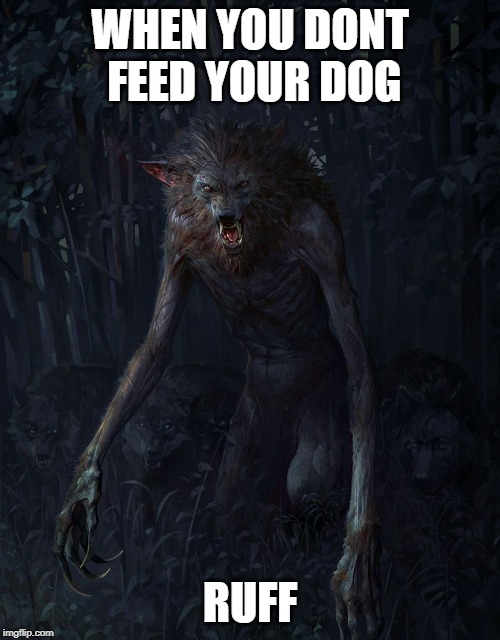 WHEN YOU DONT FEED YOUR DOG; RUFF | made w/ Imgflip meme maker