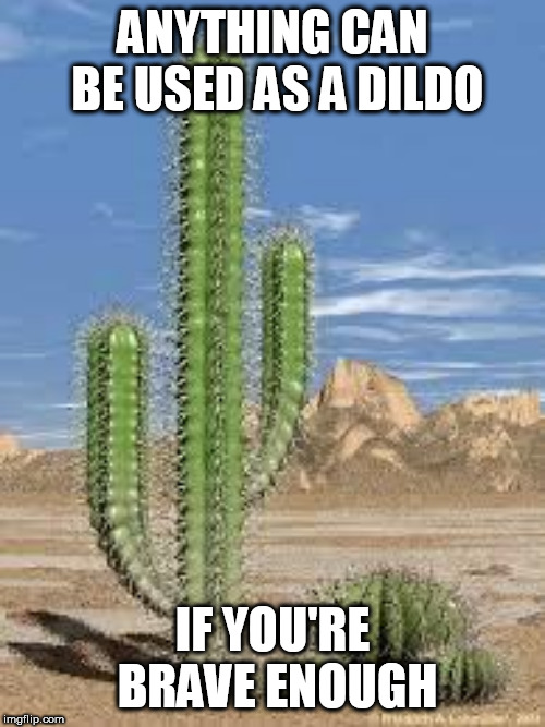cactus | ANYTHING CAN BE USED AS A DILDO; IF YOU'RE BRAVE ENOUGH | image tagged in cactus | made w/ Imgflip meme maker
