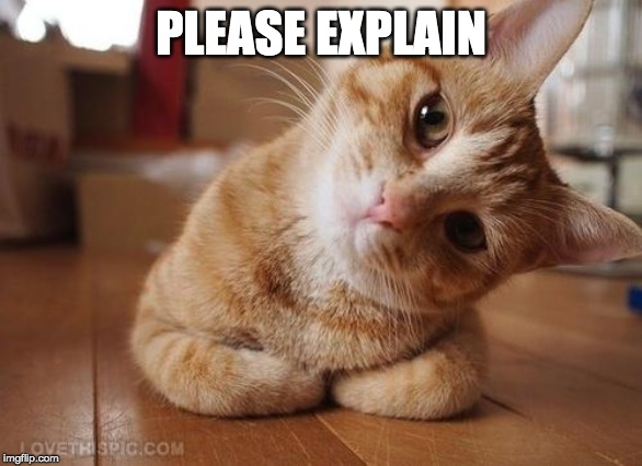 Curious Question Cat | PLEASE EXPLAIN | image tagged in curious question cat | made w/ Imgflip meme maker