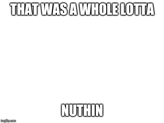 Blank White Template | THAT WAS A WHOLE LOTTA NUTHIN | image tagged in blank white template | made w/ Imgflip meme maker