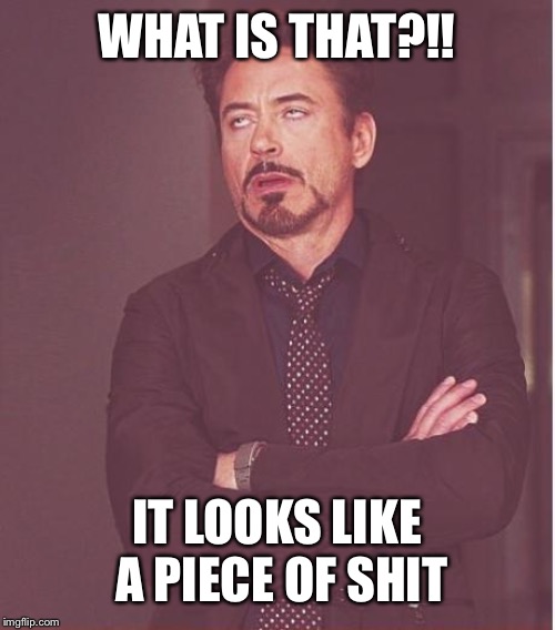 Face You Make Robert Downey Jr Meme | WHAT IS THAT?!! IT LOOKS LIKE A PIECE OF SHIT | image tagged in memes,face you make robert downey jr | made w/ Imgflip meme maker