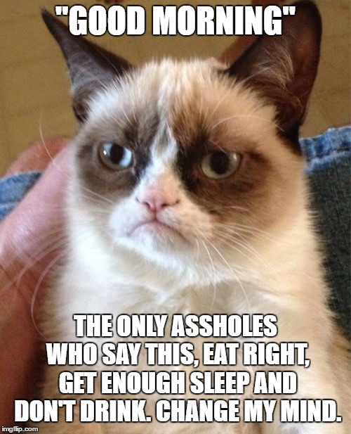 I work some late ass hours so, Mornings are not gonna happen | "GOOD MORNING"; THE ONLY ASSHOLES WHO SAY THIS, EAT RIGHT, GET ENOUGH SLEEP AND DON'T DRINK. CHANGE MY MIND. | image tagged in memes,grumpy cat,random,good morning,assholes,sleep | made w/ Imgflip meme maker