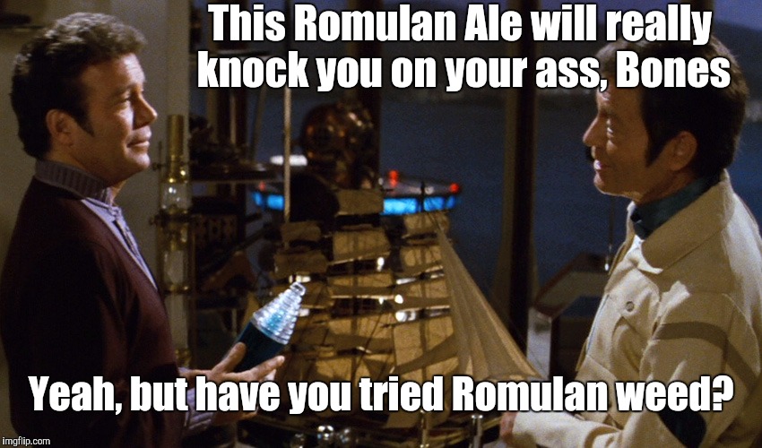 Kirk and Bones Romulan Ale | This Romulan Ale will really knock you on your ass, Bones; Yeah, but have you tried Romulan weed? | image tagged in kirk and bones romulan ale,star trek,memes | made w/ Imgflip meme maker