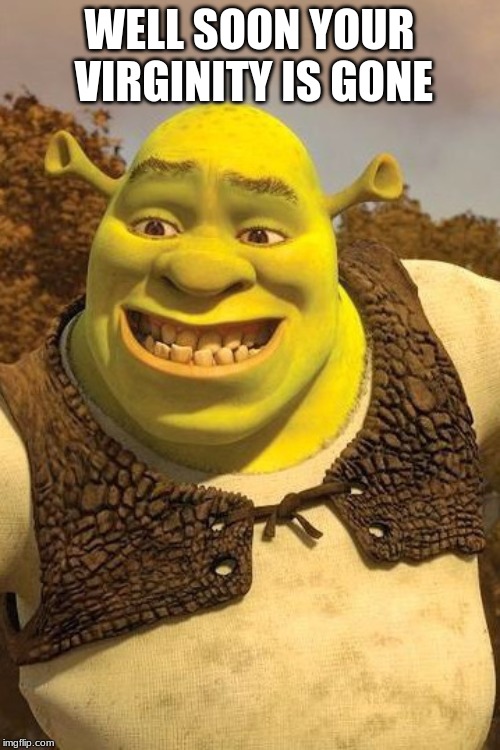 Smiling Shrek | WELL SOON YOUR VIRGINITY IS GONE | image tagged in smiling shrek | made w/ Imgflip meme maker