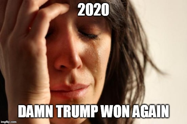 First World Problems | 2020; DAMN TRUMP WON AGAIN | image tagged in memes,first world problems | made w/ Imgflip meme maker