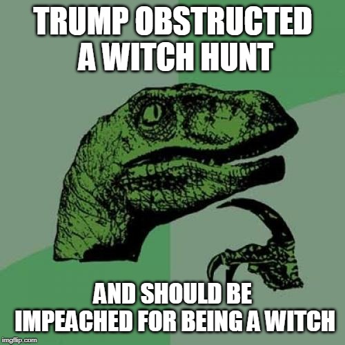 Philosoraptor | TRUMP OBSTRUCTED A WITCH HUNT; AND SHOULD BE IMPEACHED FOR BEING A WITCH | image tagged in memes,philosoraptor | made w/ Imgflip meme maker