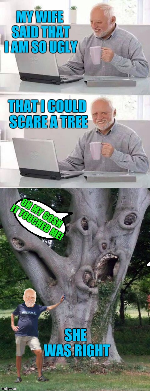 Harold finds the truth | MY WIFE SAID THAT I AM SO UGLY; THAT I COULD SCARE A TREE; OH MY GOSH IT TOUCHED ME! SHE WAS RIGHT | image tagged in memes,hide the pain harold,funny,trees,scared,44colt | made w/ Imgflip meme maker
