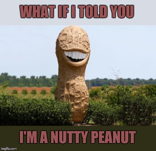 Very nutty! | WHAT IF I TOLD YOU; I'M A NUTTY PEANUT | image tagged in memes,peanuts,food,recreation | made w/ Imgflip meme maker